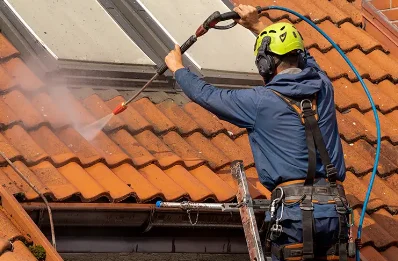 Démoussage et hydrofuge de toiture à Ance Féas
